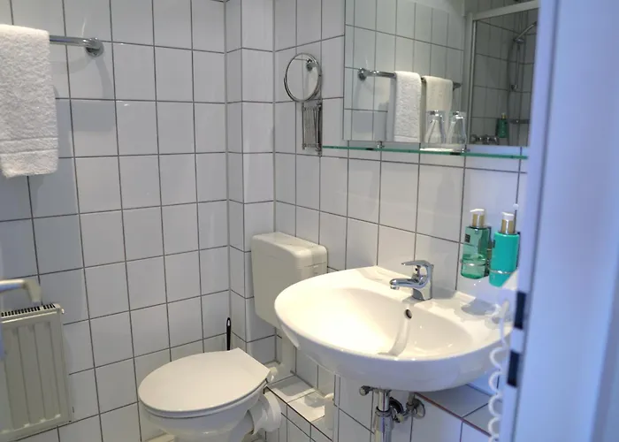 B&k 3* フロートー